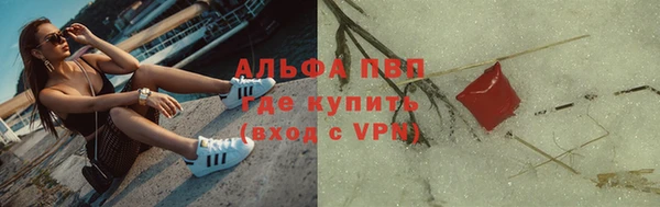 индика Липки