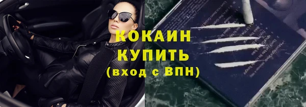индика Липки