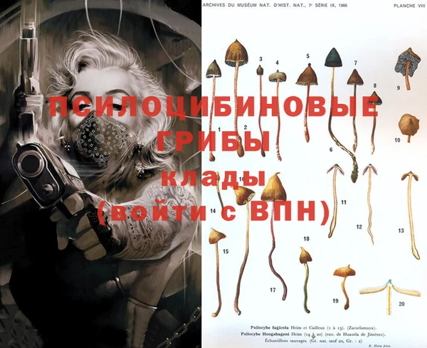 хмурый Лиски
