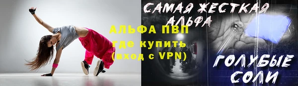 индика Липки