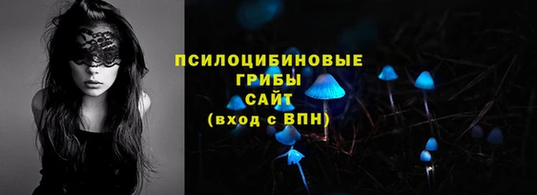 бошки Ладушкин