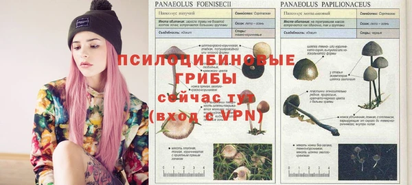 индика Липки
