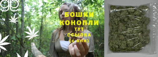 индика Липки