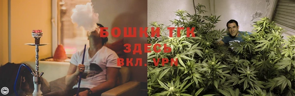 хмурый Лиски